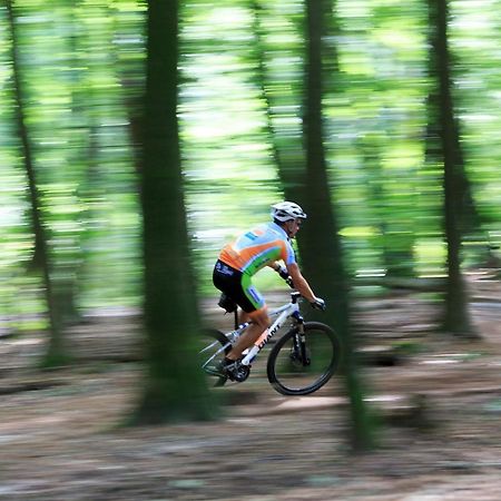 Chalet Op De Veluwe # Linde Putten Eksteriør bilde