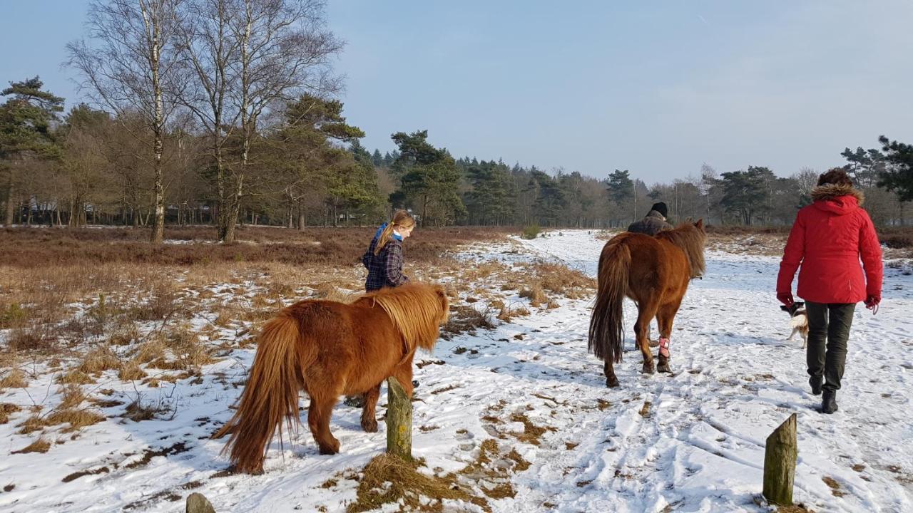 Chalet Op De Veluwe # Linde Putten Eksteriør bilde