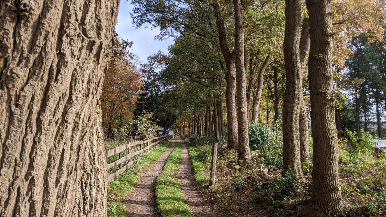 Chalet Op De Veluwe # Linde Putten Eksteriør bilde