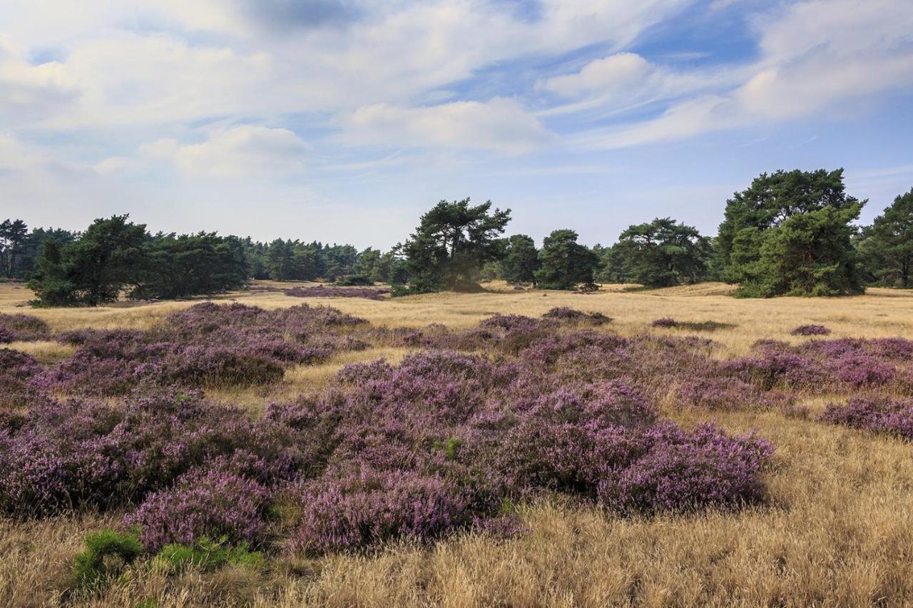 Chalet Op De Veluwe # Linde Putten Eksteriør bilde